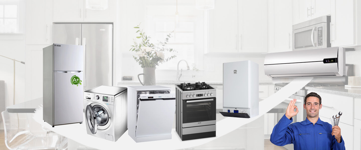 Bismil Electrolux Servisi